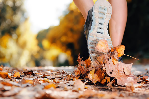 fall workouts